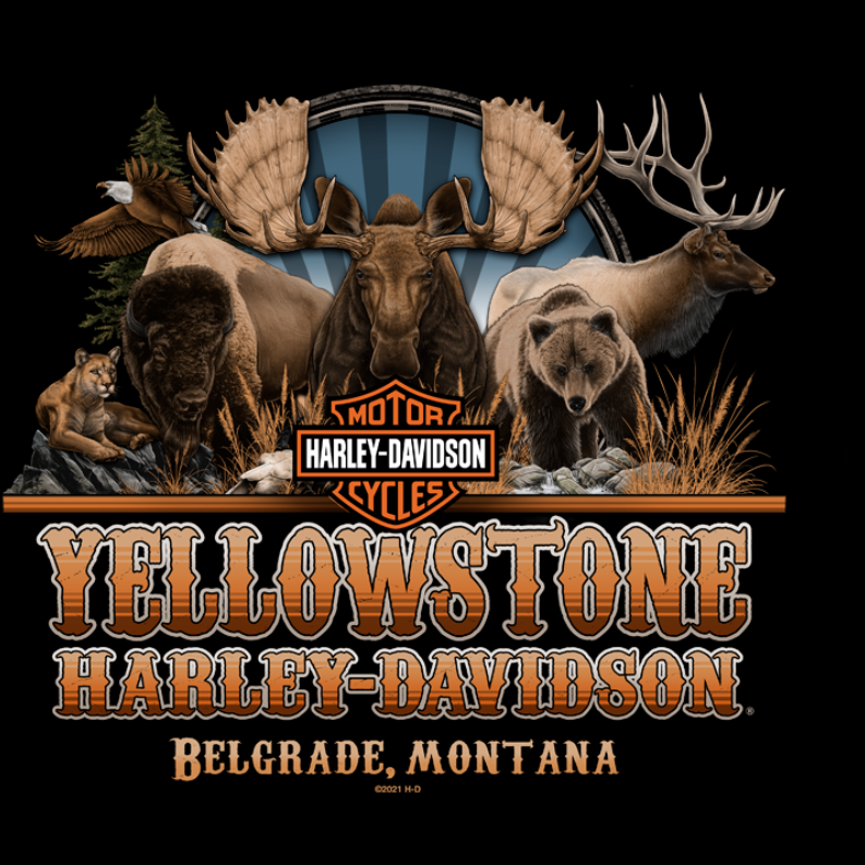 "Harley Flame" P/O Sweatshirt