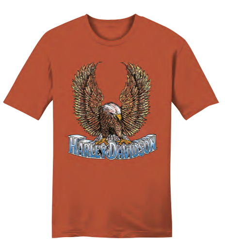 H-D Upswept Eagle