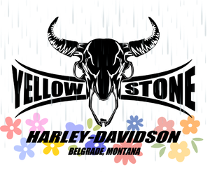 hjc and harley-davidson helmet 98253-12vm Harley-Davidson® Replacement Sun Shield, HJC 3/4 & Modular, Smoke 9821 – Yellowstone Harley-Davidson