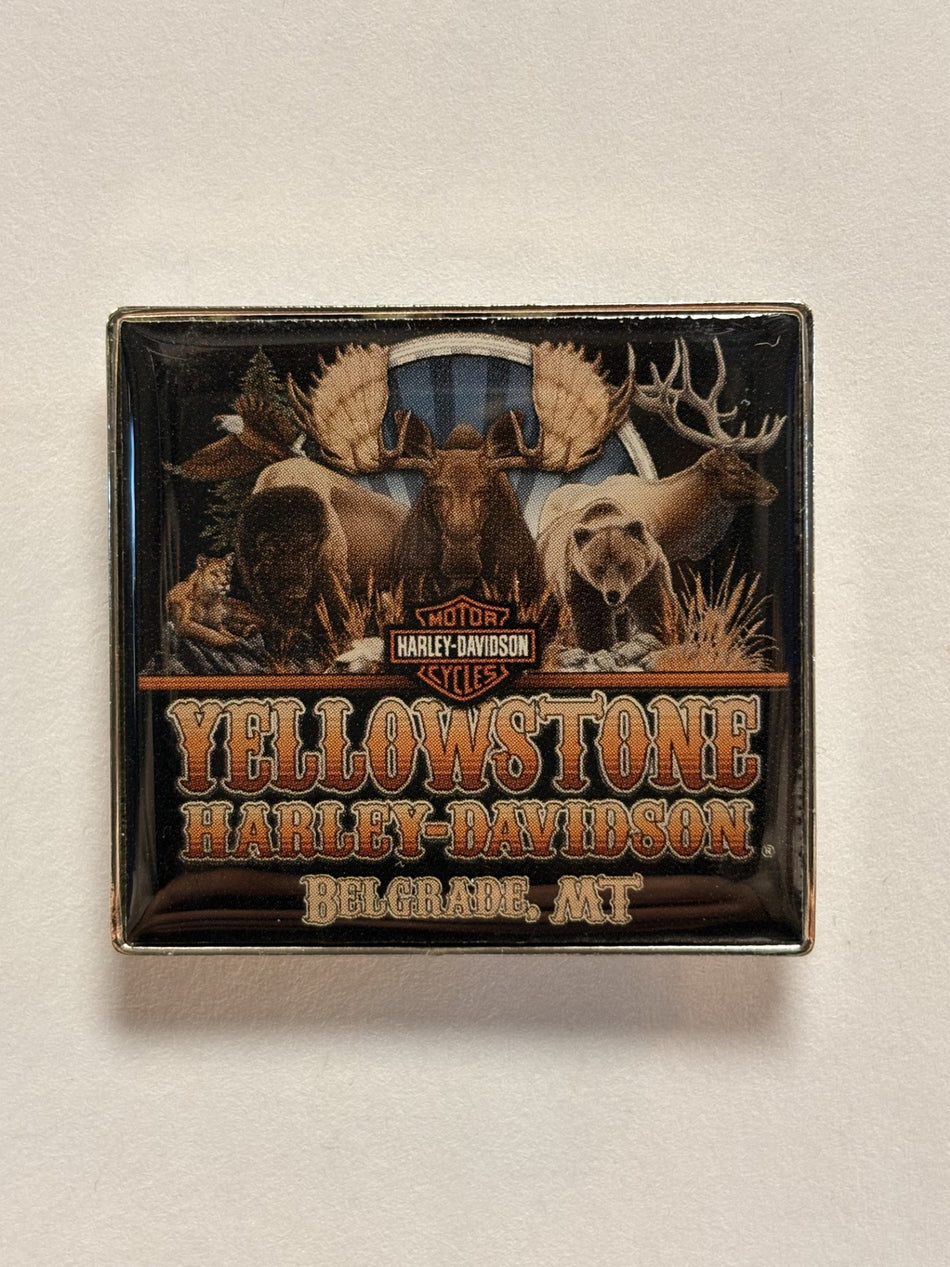 YHD Big 5 Animals Pin