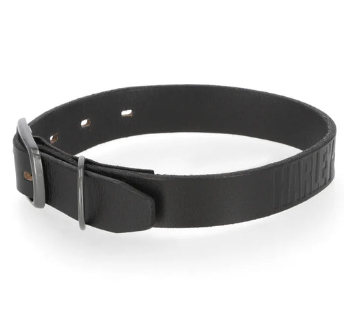 Black Leather Dog Collar