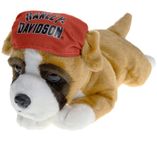 "Babe The Boxer" Plush Cuddle Bud