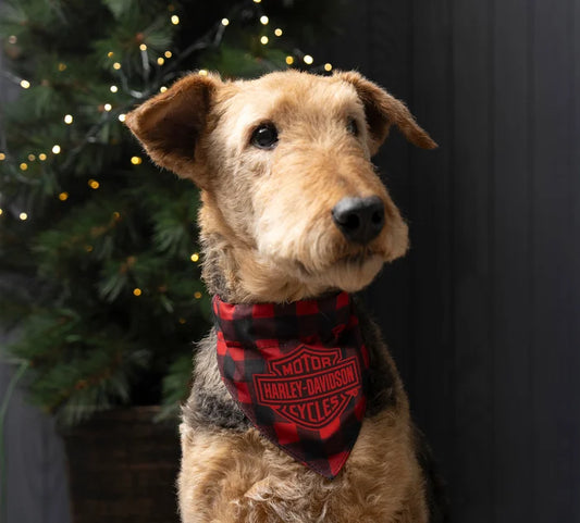 Holiday Plaid Pet Bandana