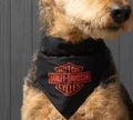 Harley Davidson Pet Bandana in Orange or Black