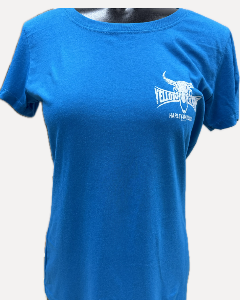YH-D Custom Aqua Ladies Tee