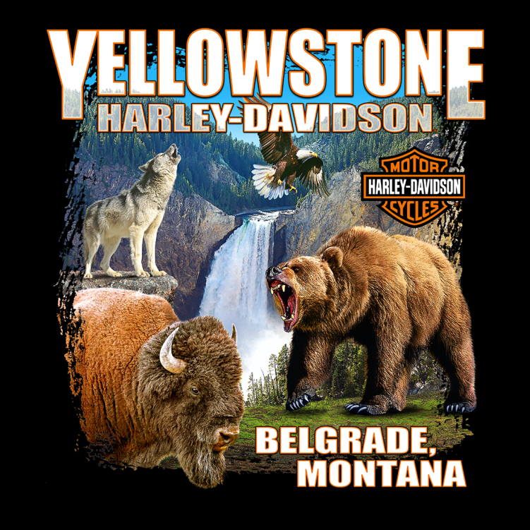 YH-D Custom Military Green P/O Sweatshirt