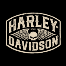 H-D Fragment Short Sleeve Pocket T-Shirt