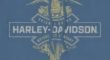 H-D Original Motorcycles Hoodie (2XL and 3XL)