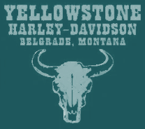 YH-D Pump Dealer Shirt