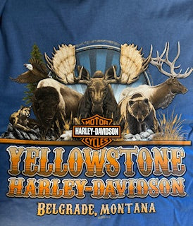 H-D Sky Flyer Long-Sleeve (only in S, 3X, 4X)