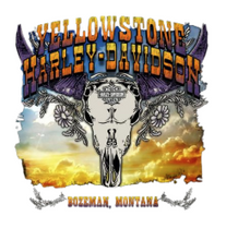 Ladies YH-D Filagree Long-Sleeve T-Shirt