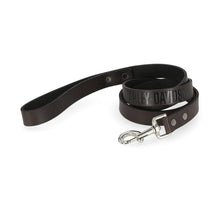 H-D Leather Dog Leash (5 feet)