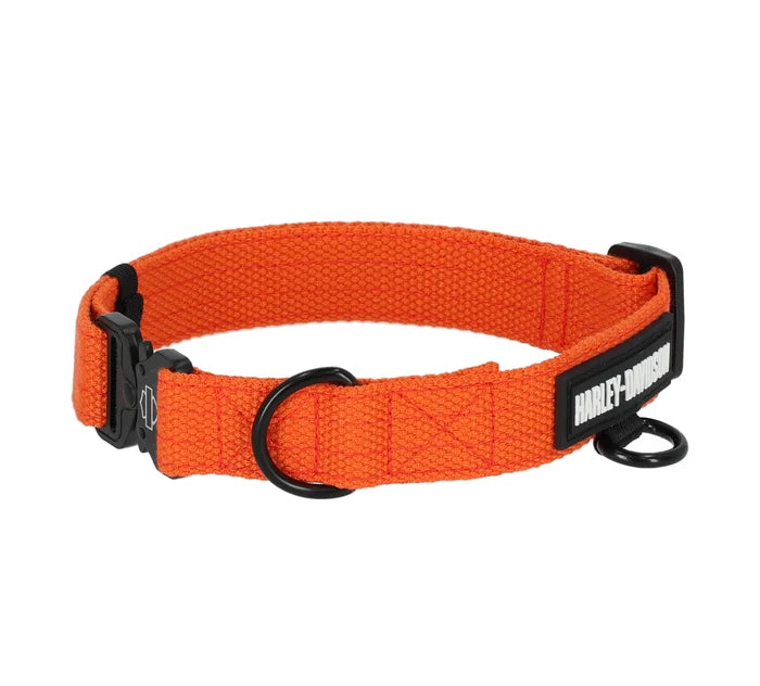 Nylon Dog Collar Orange