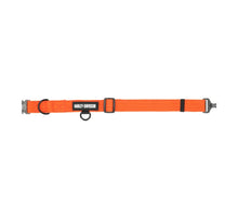 Nylon Dog Collar Orange