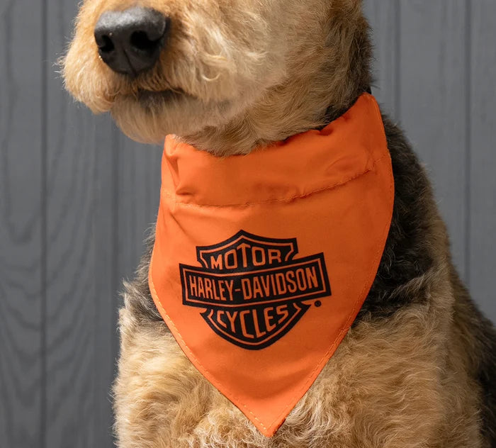 Harley Davidson Pet Bandana in Orange or Black