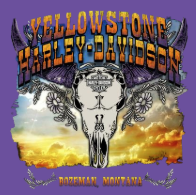 YH-D Electric Ladies Dealer T-Shirt